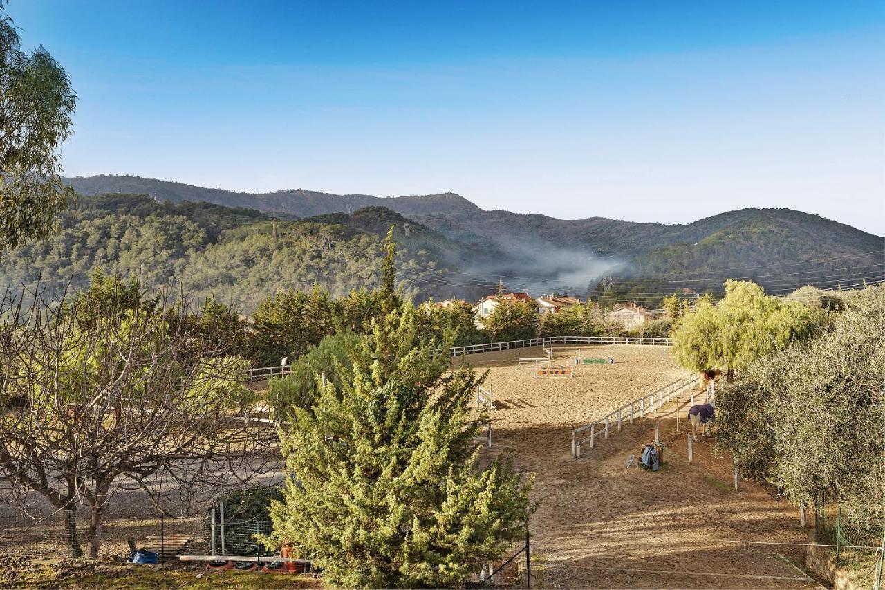 Messalina Agriturismo La Scuderia Molino Nuovo  Экстерьер фото