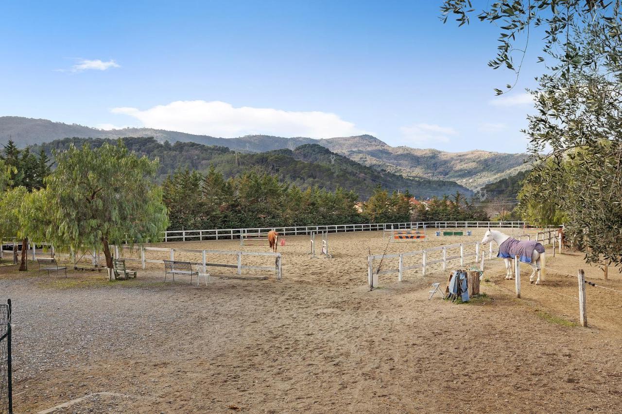 Messalina Agriturismo La Scuderia Molino Nuovo  Экстерьер фото